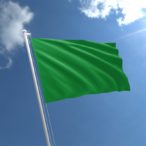Learning about Green Flags and their score