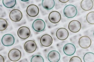 Why Biotech and Mining Are Both Risky  