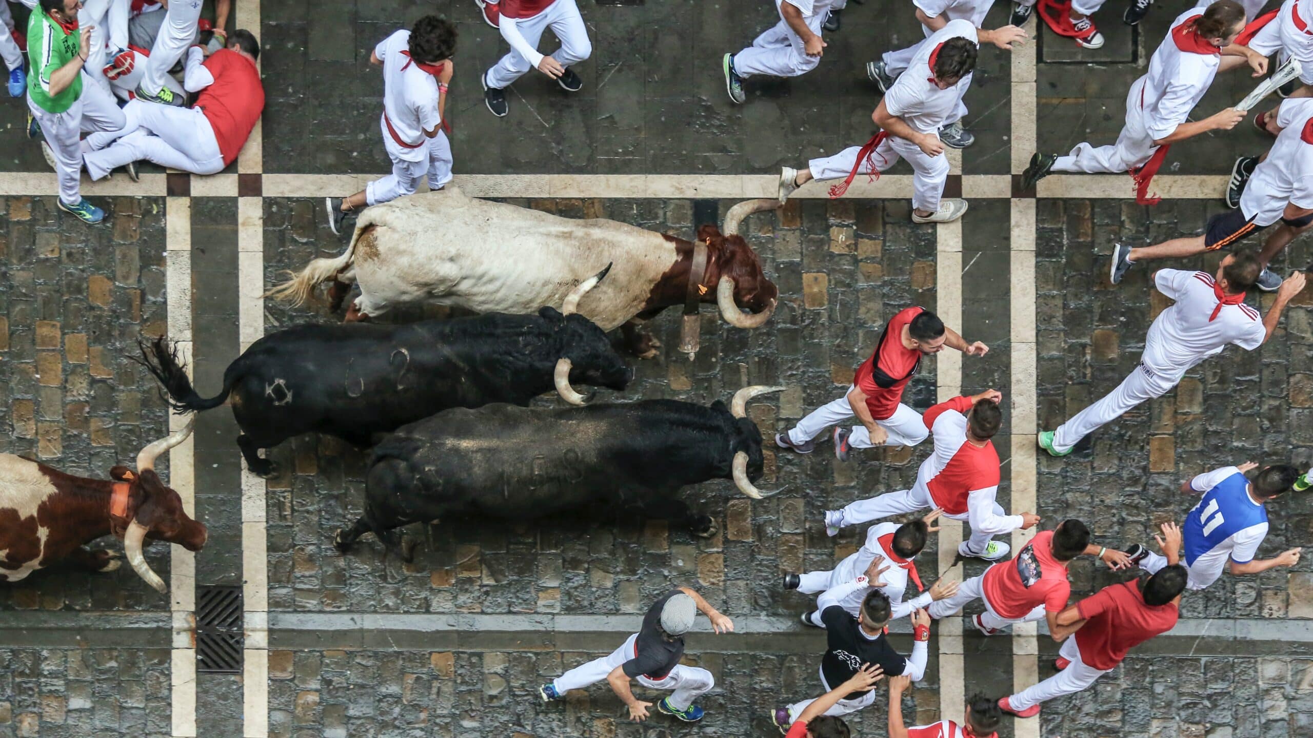 Explaining the bull market